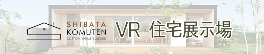 VR